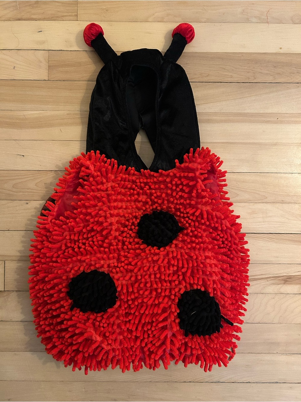 Infant Red Ladybug Halloween Costume - Size 12M